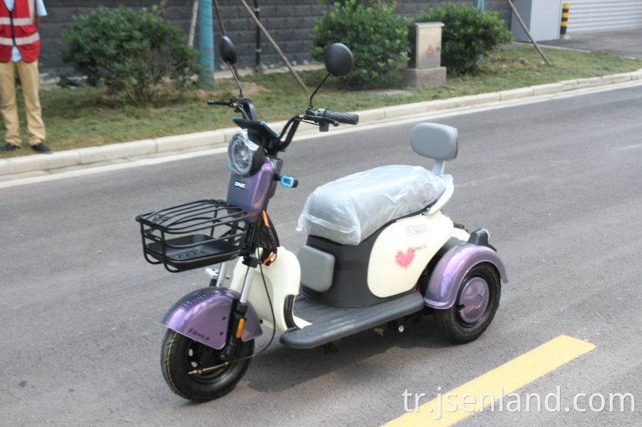 800W Lityum Pil Üç Tekerlekli Bisiklet 800W Lithium Battery Tricycle